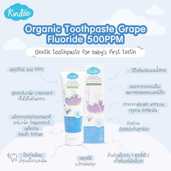 Kindee คินดี้ ยาสีฟัน ออร์แกนิค (6เดือน-2ปีขึ้น) 50กรัม ยาสีฟันเด็ก ยาสีฟันแบบเจล เกรดอาหารกลืนได้ปลอดภัย