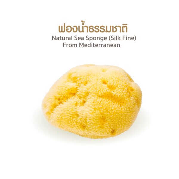 Mummily ฟองน้ำ SILK FINE ฟองน้ำธรรมชาติแท้ 100%